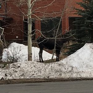 Meet your Posher, Jan